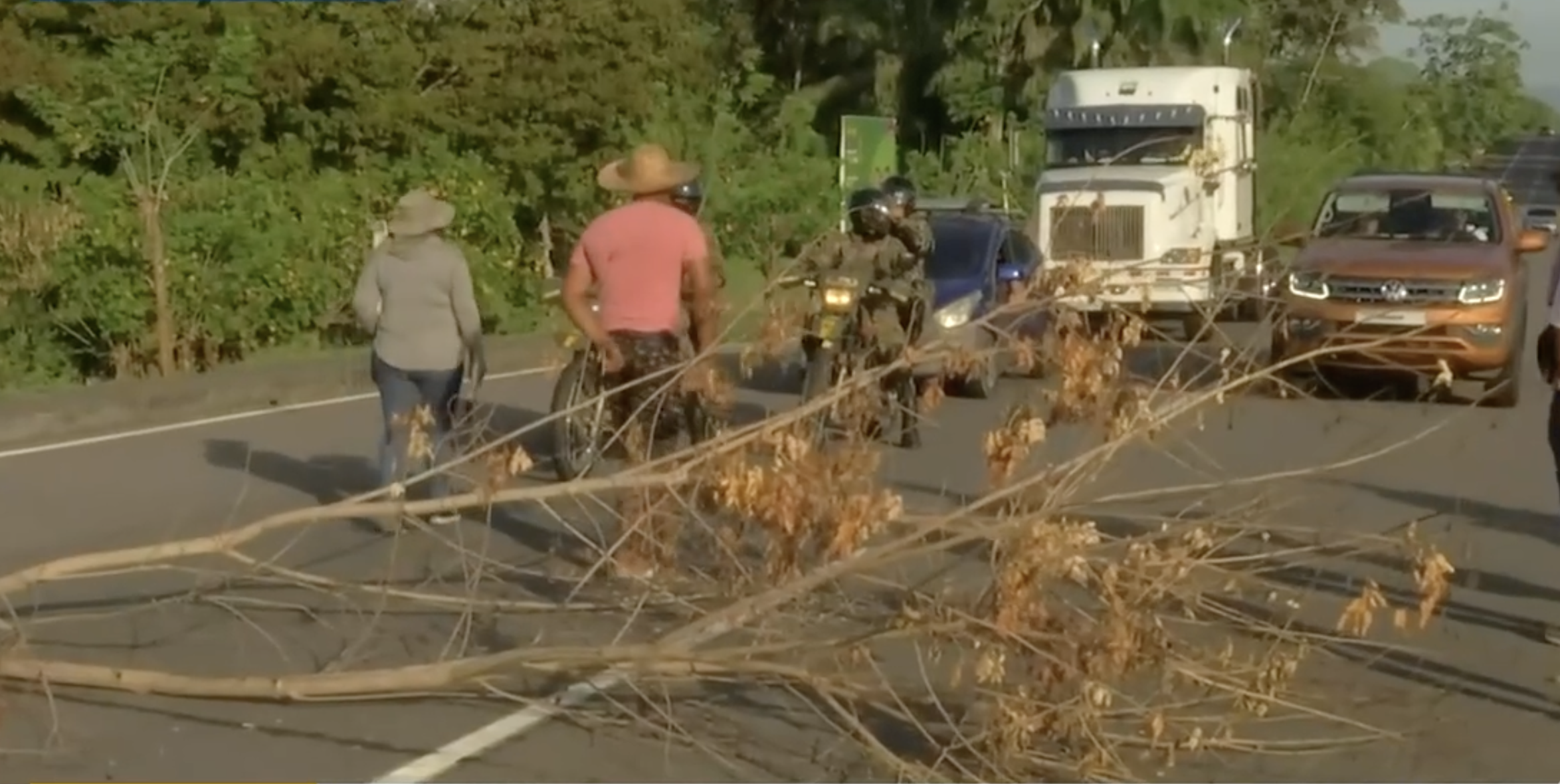 PANAMA EN DIRECTO - Comisión de Gobierno debatirá ley que penaliza cierres de calles en la vía Panamericana